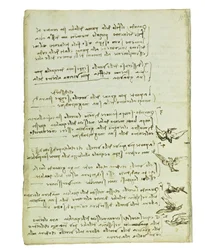 Códice sobre el vuelo de los pájaros, Folio 7 verso